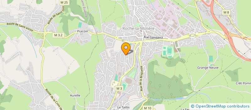 localisation de l'entreprise AMICALE DES ANCIENS DEBITANTS DE TABAC ET DIFFUSEURS DE PRESSE DE LA LOIRE  ROCHE-LA-MOLIERE