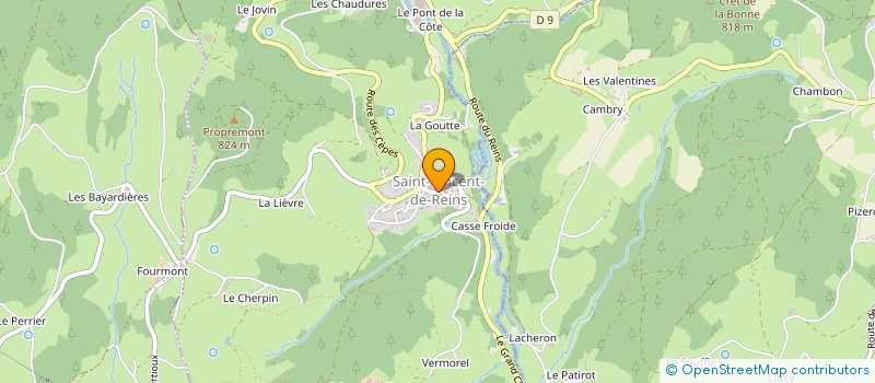 localisation de l'entreprise AMICALE DES CLASSES EN 6 DE SAINT VINCENT DE REINS  SAINT-VINCENT-DE-REINS