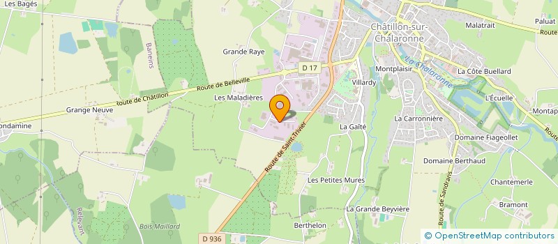 localisation de l'entreprise AMICALE DES COMMERCANTS NON SEDENTAIRES DE CHATILLON SUR CHALARONNE  CHATILLON-SUR-CHALARONNE