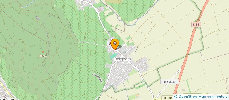 localisation de l'entreprise AMICALE DES DONNEURS DE SANG BENEVOLES DE BERGHOLTZ  BERGHOLTZ