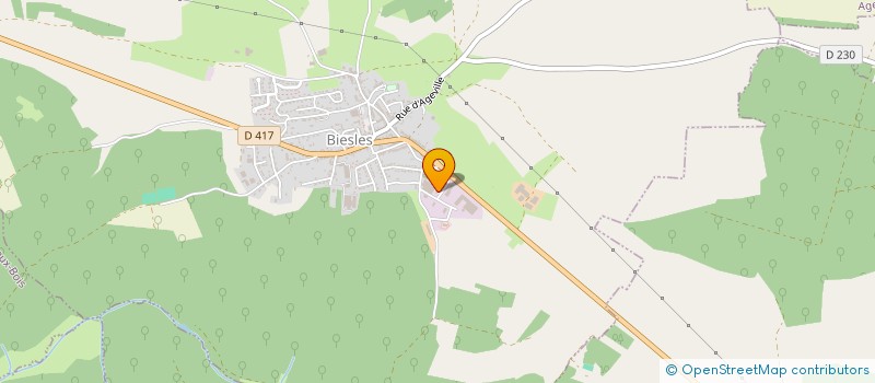 localisation de l'entreprise AMICALE DES SAPEURS POMPIERS DE BIESLES à BIESLES