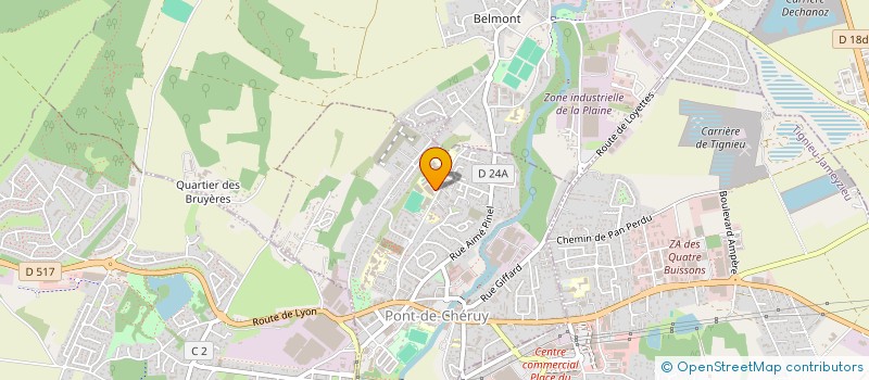 localisation de l'entreprise AMICALE DU PERSONNEL DU LYCEE PROFESSIONNEL DE PONT-DE-CHERUY  PONT-DE-CHERUY