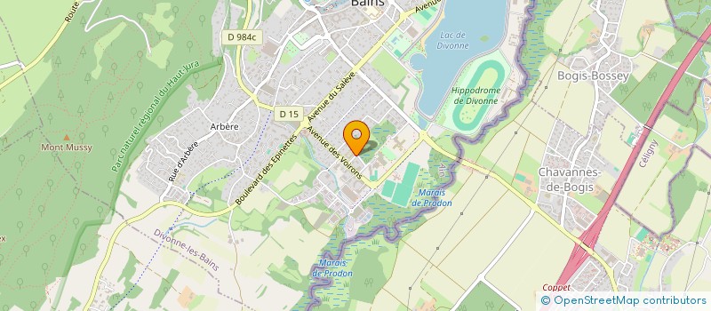 localisation de l'entreprise AMICALE EHPAD DIVONNE à DIVONNE-LES-BAINS