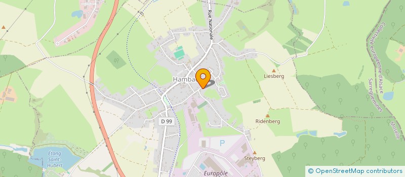 localisation de l'entreprise AMICALE POUR LA PRESERVATION DE L'ETANG DU RIDENBERG APER  HAMBACH