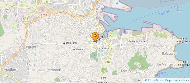 localisation de l'entreprise AMICALE SEYNOISE ADOLESCENTS à LA SEYNE-SUR-MER