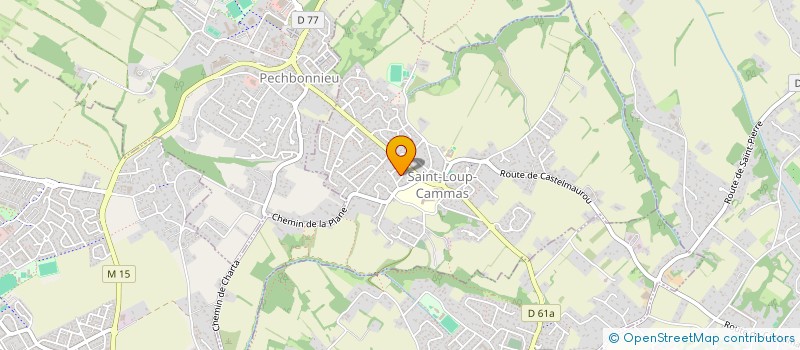 localisation de l'entreprise AMICALE SPORTIVE SAINT-LOUP-CAMMAS  SAINT-LOUP-CAMMAS