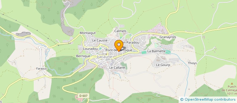 localisation de l'entreprise AMICALE USEP DU RESEAU  MONTS DE LACAUNE  LACAUNE