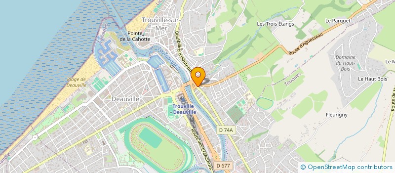 localisation de l'entreprise AMICHA  TROUVILLE-SUR-MER