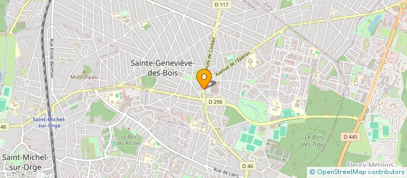 localisation de l'entreprise AMINE VIANDE à SAINTE-GENEVIEVE-DES-BOIS
