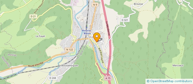 localisation de l'entreprise AMIS DU MUSEE MUNICIPAL ELISE RIEUF à MASSIAC