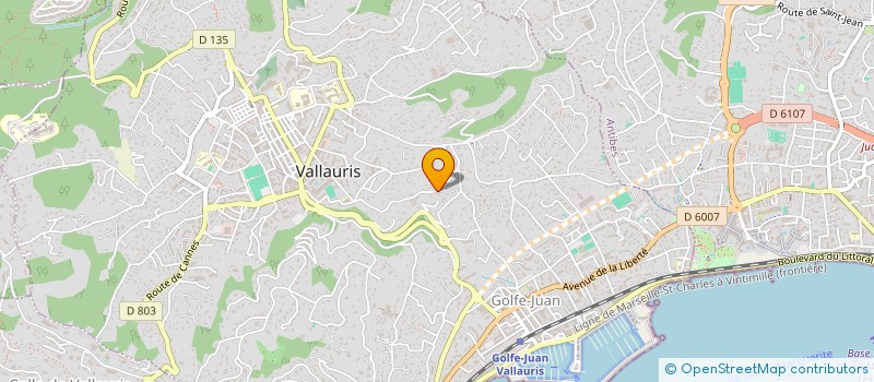 localisation de l'entreprise AMJ  VALLAURIS