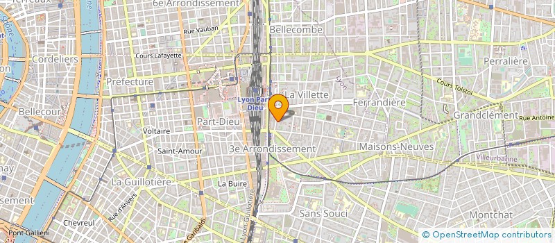 localisation de l'entreprise AMM  LYON