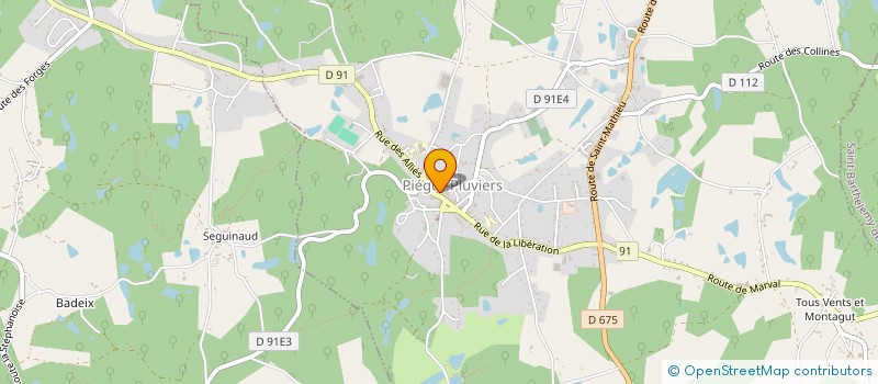 localisation de l'entreprise AMN INVEST  PIEGUT-PLUVIERS