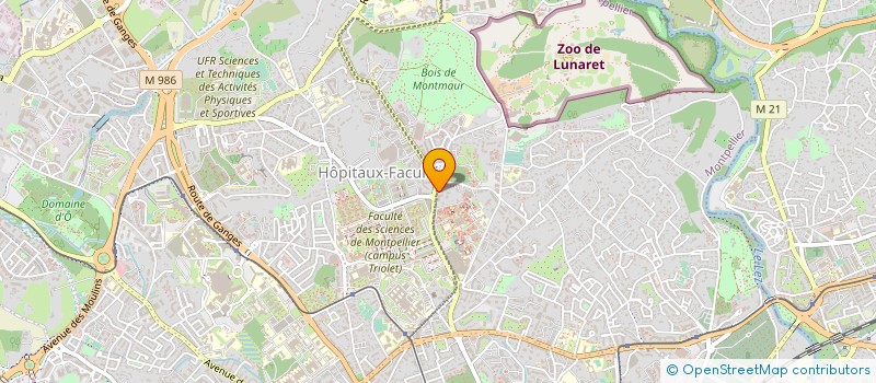 localisation de l'entreprise AMON à MONTPELLIER
