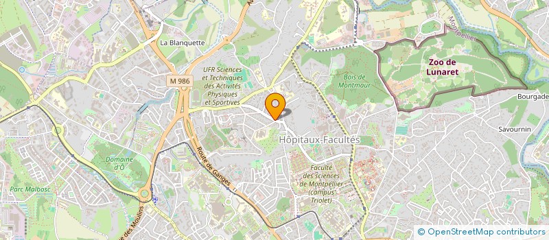 localisation de l'entreprise AMORIUM à MONTPELLIER