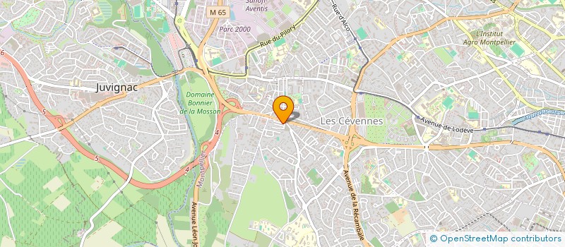localisation de l'entreprise AMS à MONTPELLIER