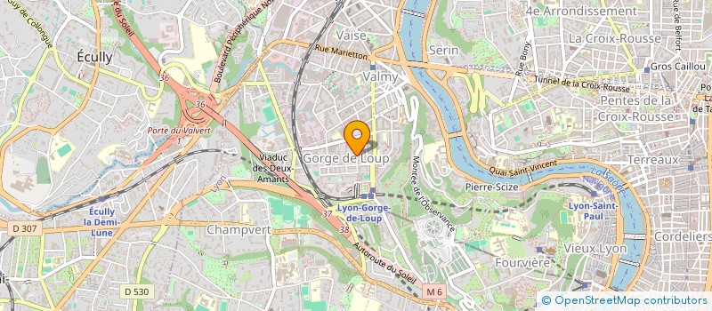 localisation de l'entreprise AMS ANALYSE MEDIATION SERVICE  LYON