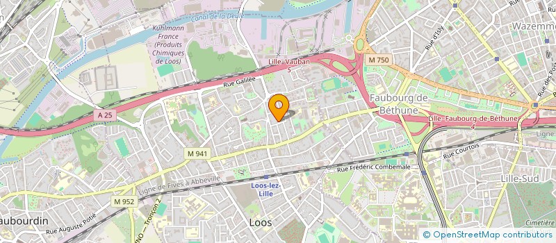 localisation de l'entreprise AMS TRANS TAXI  LOOS