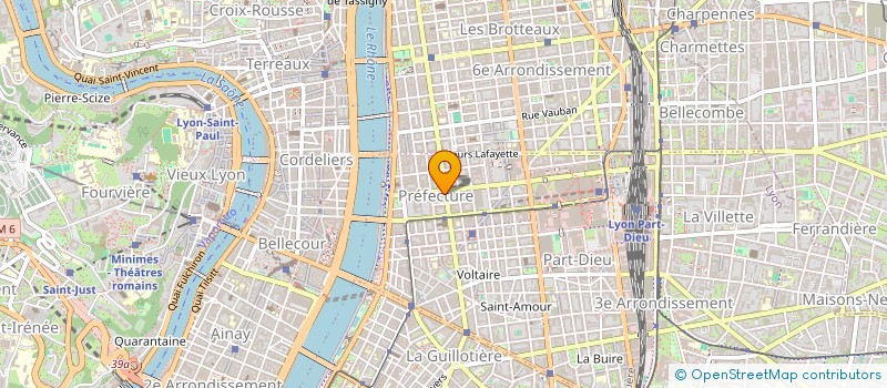 localisation de l'entreprise AMSON DISTRIBUTION  LYON