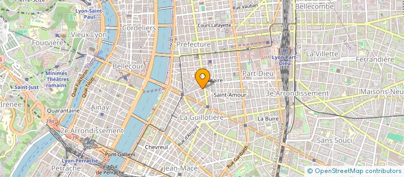 localisation de l'entreprise AMYS à LYON