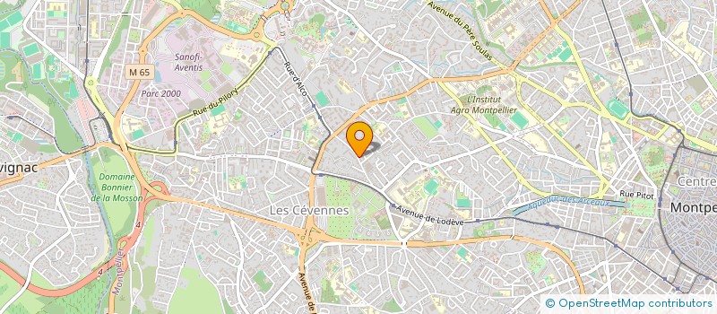 localisation de l'entreprise ANA- AFRICANS NEGOCE FOR AFRICA à MONTPELLIER