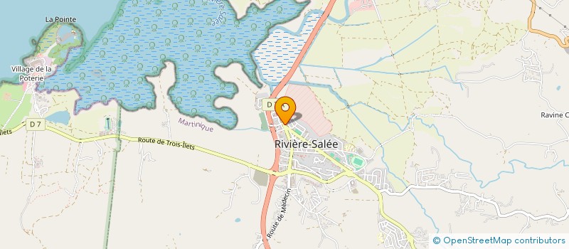 localisation de l'entreprise ANALEEZ à RIVIERE SALEE