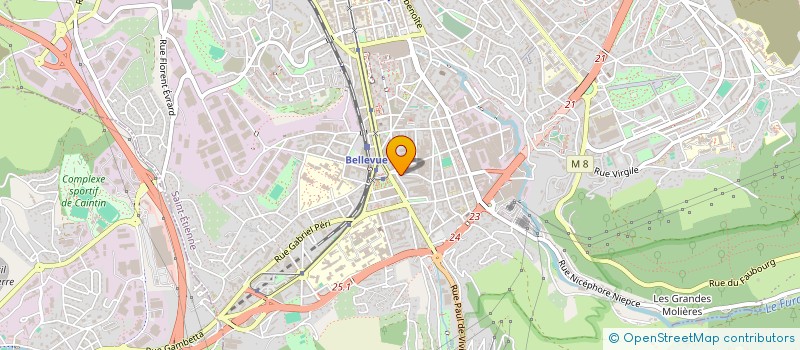 localisation de l'entreprise ANASTASIA DENTAL  SAINT-ETIENNE