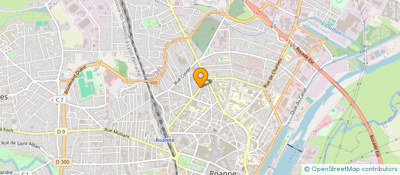 localisation de l'entreprise ANDIAMO  ROANNE