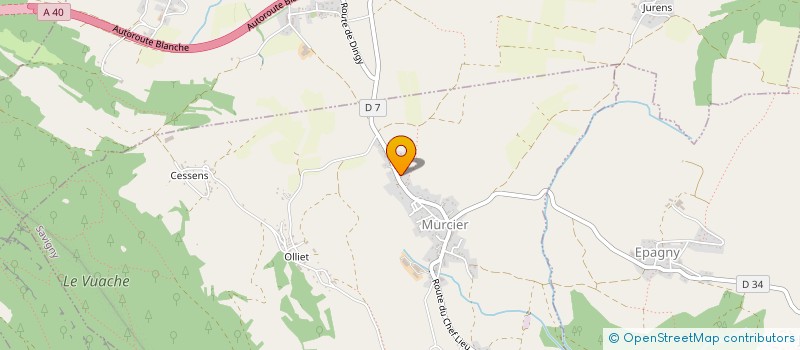 localisation de l'entreprise ANDREA IMMOBILIER  SAVIGNY