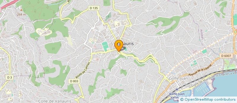 localisation de l'entreprise ANDRYA-P  VALLAURIS