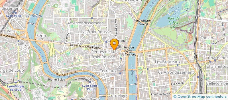 localisation de l'entreprise ANEOSIS à LYON