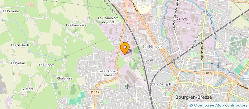 localisation de l'entreprise ANGELI ELECTRICITE à SAINT-DENIS-LES-BOURG