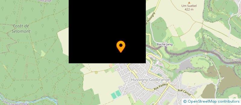 localisation de l'entreprise ANGELINA'S NAILART & MORE  HUSSIGNY-GODBRANGE