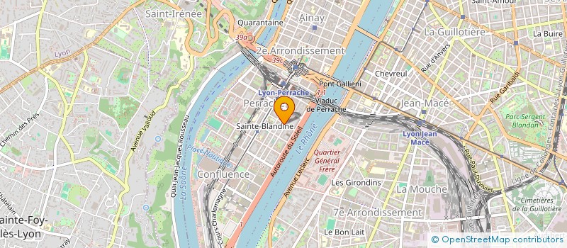 localisation de l'entreprise ANGELS FOR FOOD à LYON
