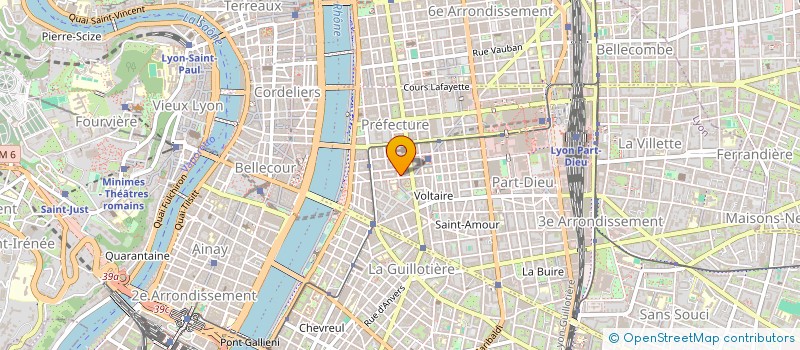 localisation de l'entreprise ANGIOCARD à LYON