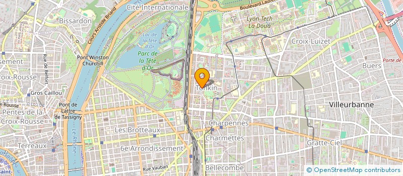 localisation de l'entreprise ANGO TRANS SERVICES  VILLEURBANNE