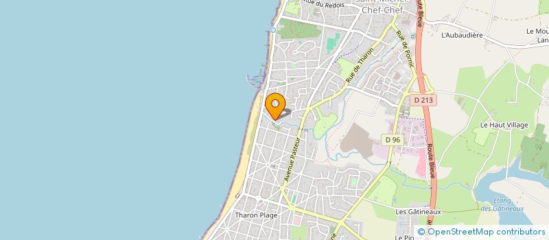 localisation de l'entreprise ANIMA NEO  SAINT-MICHEL-CHEF-CHEF