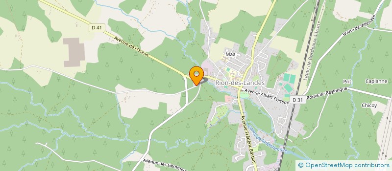 localisation de l'entreprise ANIMADOM à RION-DES-LANDES