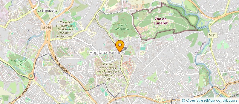 localisation de l'entreprise ANIMAGE à MONTPELLIER