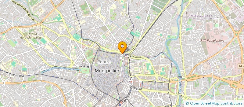 localisation de l'entreprise ANIMAPIZZ à MONTPELLIER