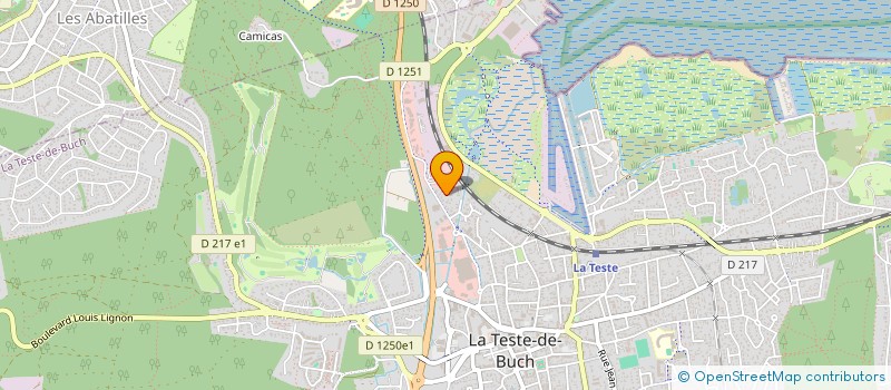 localisation de l'entreprise ANIMATESTE  LA TESTE-DE-BUCH