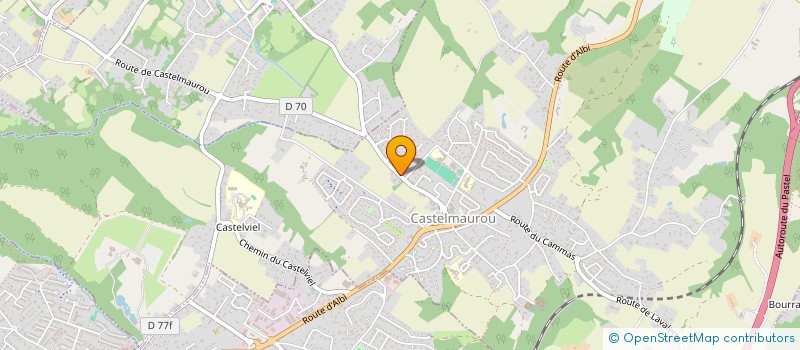 localisation de l'entreprise ANIMATION CONSEIL  CASTELMAUROU