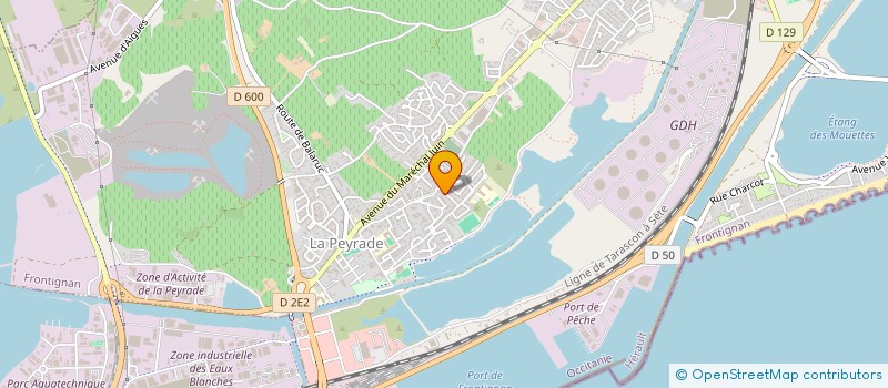 localisation de l'entreprise ANIMATION SANDRINE ET ALAIN à FRONTIGNAN