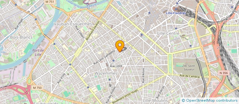 localisation de l'entreprise ANIMOSE TEAM à LILLE