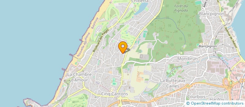 localisation de l'entreprise ANIS  ANGLET