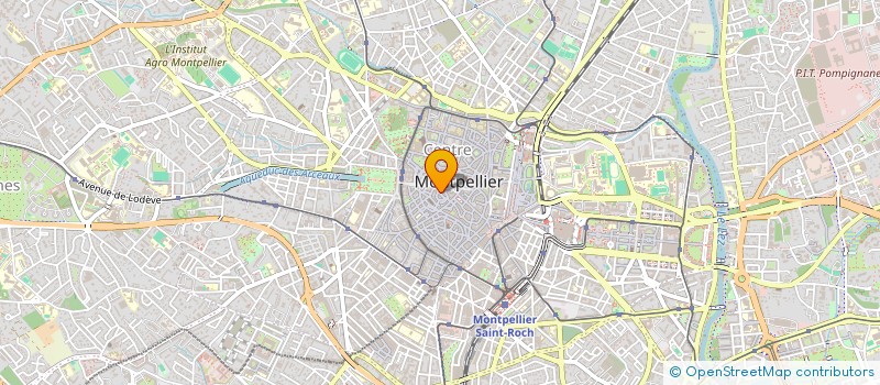 localisation de l'entreprise ANNE MADELEINE SARL à MONTPELLIER