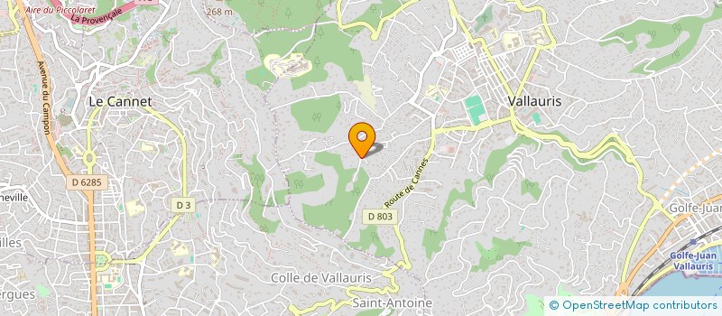 localisation de l'entreprise ANNE-SINCLAIR  VALLAURIS
