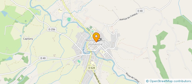 localisation de l'entreprise ANNES  MONTESQUIEU-VOLVESTRE