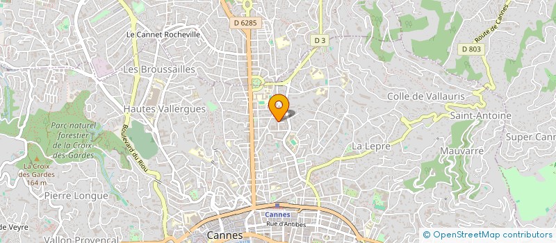 localisation de l'entreprise ANTHEMIS  CANNES