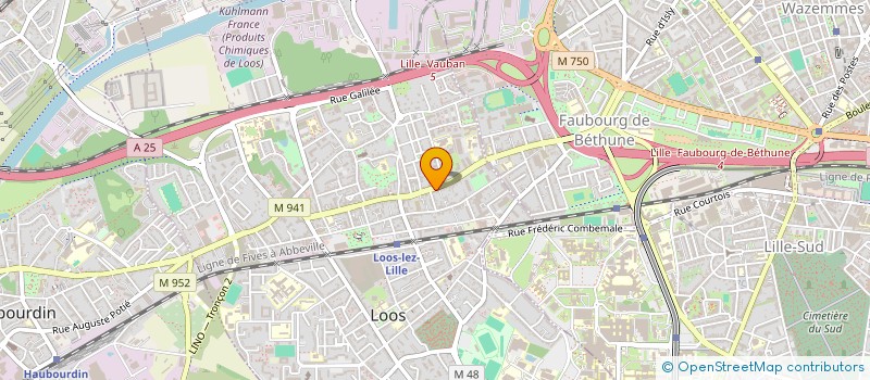 localisation de l'entreprise ANTHOLICE  LOOS